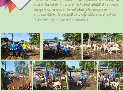 รายงานผลการดำเนินการประจำปี 2567