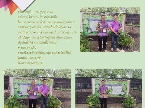 รายงานผลการดำเนินการประจำปี 2567